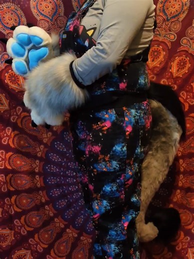 absolutely love making this set. we have small paws with squeakers and finger escapes and a large dragon/wolf tail. made with @Sonsta & Aggie Fursuit Makers pattern edited by me #furrypaws #ukfursuitmaker #fursuitmaker #fursuitpaws #furry