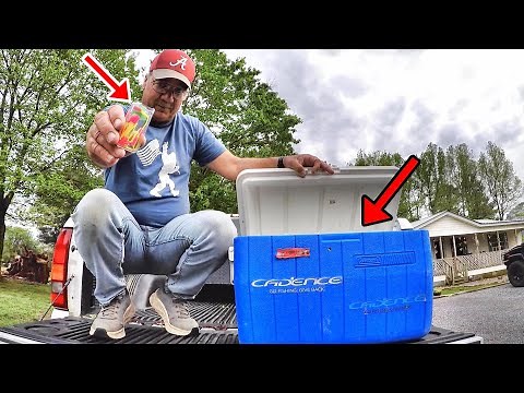 How To LOAD Your Cooler FULL Of Crappie From The Bank
