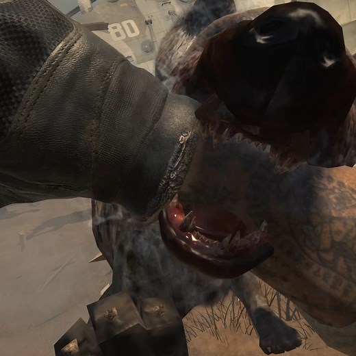 70K views · 1.2K reactions | Stop the Cargo | Call of Duty Modern Warfare 3 #gaming #gamingreels #COD #callofduty | Soul Chasseur Gaming | Facebook