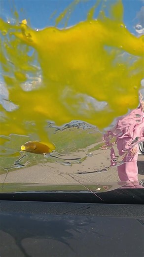 Fun Karma Between Drivers | World of Kindness