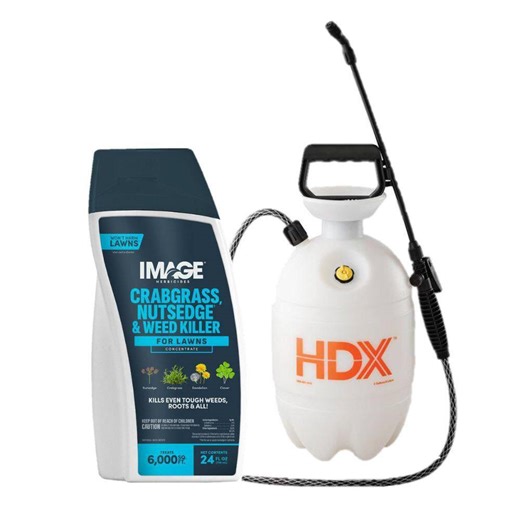 2 Gallon Lawn and Garden Pump Sprayer with 24 oz. Weed Killer Concentrate Combo - The Home Depot