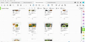 Stressandanxietymealplanandprepguide.pdf - Adobe Acrobat Pro DC (32-bit) 2021-03-19 14-40-40