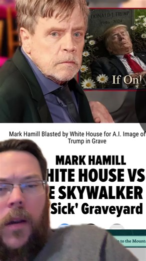 #greenscreen #trump #maga #trumpnews #lukeskywalker | Luke Skywalker