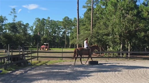 Tina's Equine Services Inc on TikTok