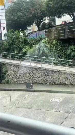 METAFLEX (@metaflex6)’s videos with original sound - METAFLEX