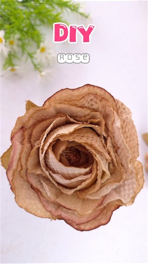 DIY Coffee Rose 🌹 | Paper Towel Flower
