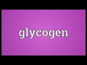 Glycogen Meaning