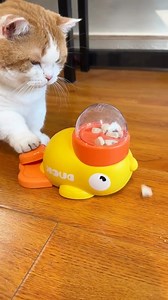 18K views · 192 reactions | Wie cool!  HIER ▶ https://mehrsehen.to/qYmg | Eine Katze ist wie ein Herz auf vier Pfoten | Facebook