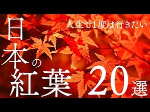 [Breathtaking Views] 20 Must-See Spots for Viewing Autumn Leaves in Japan