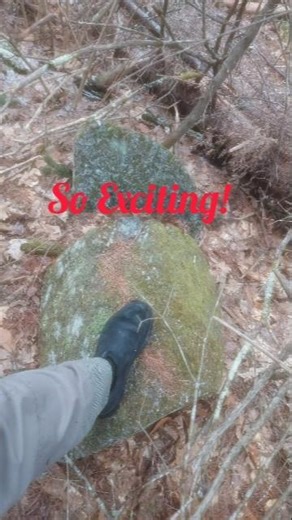 we FOUND this at the old homestead! #karmaandi #offgrid #shorts