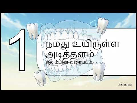 ஆல்வியோலர் எலும்பு/ Rapid course
