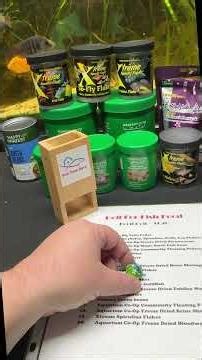 Roll for Fish Food Episode 10 #aquarium #aquariumchannel #fishaquarium