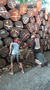 5.9M views · 5.9K reactions | Moving out a giant log from a pile of hundreds of logs | Sawmill & Woodworking | Facebook