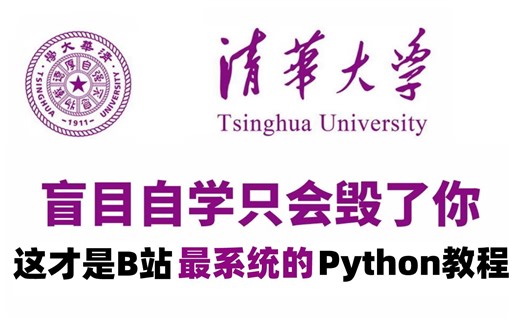 【整整600集】清华大学196小时讲完的Python教程（数据挖掘分析）全程干货无废话！学完变大佬！这还学不会
