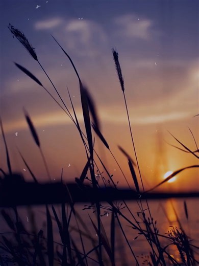 2026 isn’t asking you to leap. It’s asking you to move one millimeter at a time. Small actions. Safe repetition. Quiet momentum. This is how change sticks. ✨ What micro shift are you choosing this year? #MicroMoves#GentleGrowth#ManifestationJourney#IdentityShift#TEM