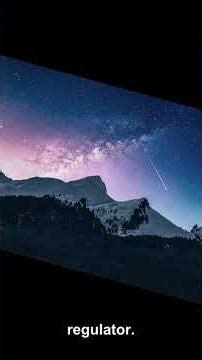 The Deadly Limit of White Dwarfs