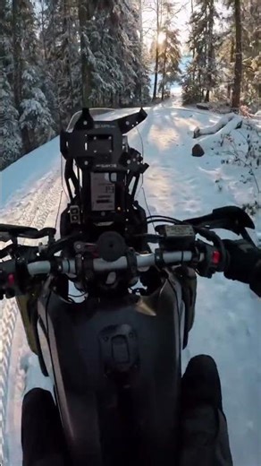 New chilling ride through the snow ❄️ Yamaha Tenere 700 never complains. #yamaha #yamahariders #snow