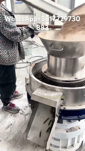 Ring die pellet machine . #pelletmachine #pelletmaker #pellet #feedpellet #fuelpellets