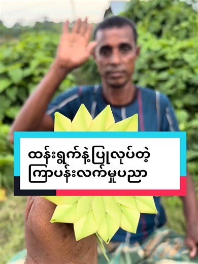 Turning palm leaves into a beautiful lotus flower. #diy #handmade #craft #creative #nature