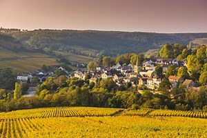 10 French Wine Regions That Make World-Class Wines | LoveToKnow