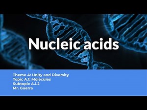 A.1.2 Nucleic Acids - IB Biology SL NEW SYLLABUS First assessment 2025
