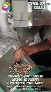 Best Color Sorter for Peanut | Peanut Sortex Machine | MEYER with NICPL #BestColorSorterForPeanut