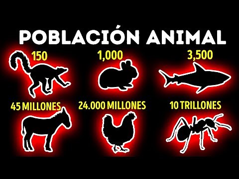 Comparación de las poblaciones animales más pequeñas y más grandes