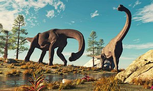 Discover the Biggest Brachiosaurus Ever Found