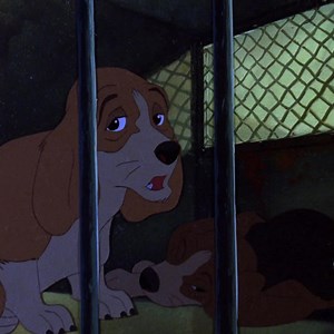 369K views · 6.1K reactions | "In the beginning we were ordinary street rats" The heartwarming and beautifully crafted cartoon fantasy from the legendary animator Don Bluth, THE SECRET OF NIMH, is available now on Blu-ray in the UK  as part of The Masters of Cinema Series https://buff.ly/4ei54JW | Eureka Entertainment | Facebook