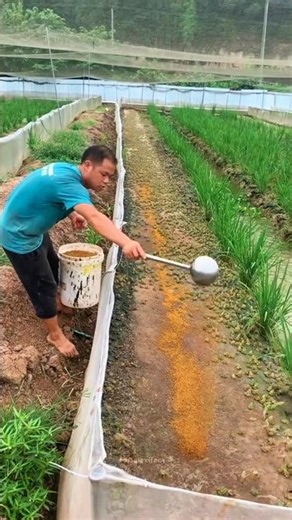 Why China is Breeding Frogs Like Chickens! #shorts