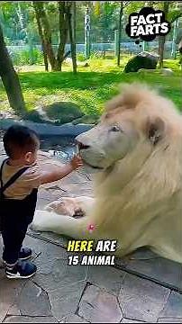 15 Mind Blowing Animal Facts You Won't Believe!