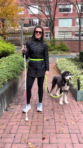 PSA: Helpful tip when walking your non-guide dog and using a cane. VD: Rebecca is wearing a black coat, black leggings, and sneakers. She is also wearing sunglasses. In her right hand she is holding her cane. Around her waist is a lime green colored dog leash which is attached to Violet, her multi-colored bernadoodle. #RebeccaAlexander #WhiteCane #Blind #Mobility #UsherSyndrome #DeafBlind #DisabilityLife #DogsOfInstagram #DogTips #DogLover #PetLife #Cane