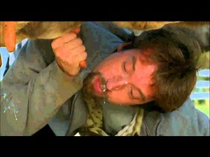 Sucking A Cows Utters