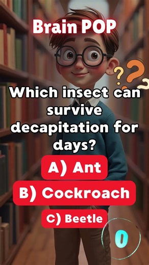 Guess Which Insect Survives Decapitation?