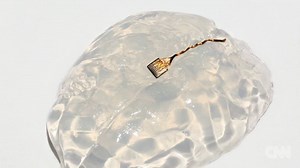 A new form of brain implant could one day help people with paraplegia regain control of their legs, based on a new study proving its potential in paralyzed monkeys. http://on.hln.tv/61868G1hs via CNN Health | HLN