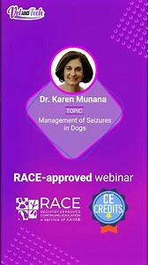 🚨 Last Chance to Register | Vet Free Webinar