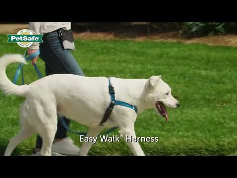 PetSafe Easy Walk Harness for Dogs