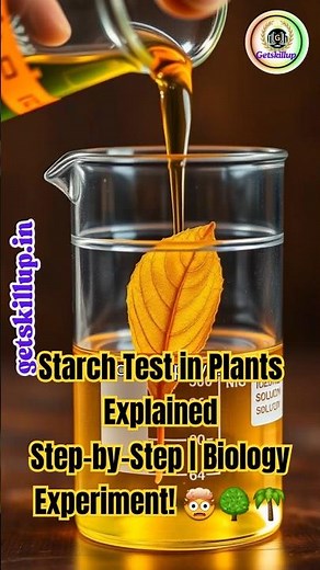 Starch Test in Plants Explained Step-by-Step | Biology Experiment! 🤯🌴🌳 #youtubeshorts #youtube