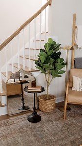 344K views · 4K reactions | #ad One of my favorite places to shop for...