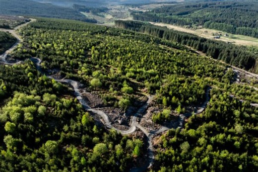 Kielder opens two new bike park-style trails, the Mile Down red and 565m of upgraded black, and commits to building the UK's longest downhill track - MBR