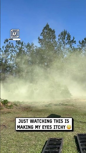 Fallen tree releases huge cloud of pollen 🤧🌳 🎥: Michael McKenzie/BigBoyTater via ViralHog