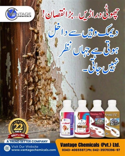 Termite Control by Vantage Chemicals | Protect Your Home & Furniture
