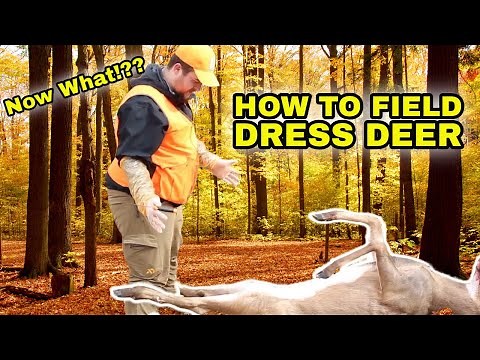 How to Field Dress a Deer