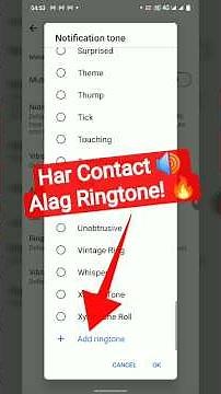 WhatsApp Ringtone Setting Trick 🔥 | Har Contact Ke Liye Alag Tone Set Karo