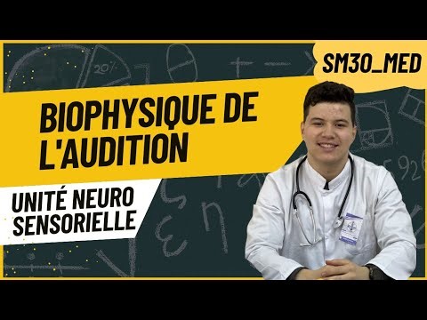 Biophysique de l'audition unité neuro sensorielle 2ème année médecine