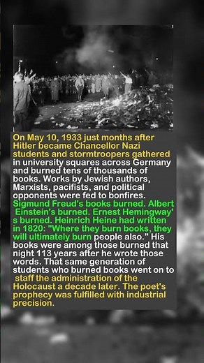 He Burned the Books — Then Burned the People | Nazi Book Burning 1933