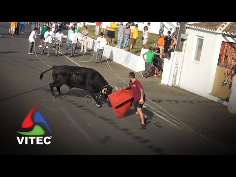 Tourada em São Brás a 25 de agosto de 2025