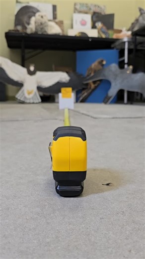 Draper Natural History Museum | As leaves start to change so does the Draper Museum Raptor Experience Program Schedule! Oct 1 - Oct 31 Programs daily at 1pm! We... | Instagram