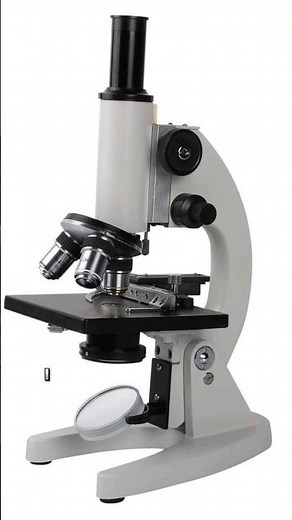 How microscope works 🧐. #microscope #science #biology #ants #medicine #education #learn