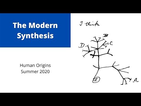 The Modern Synthesis